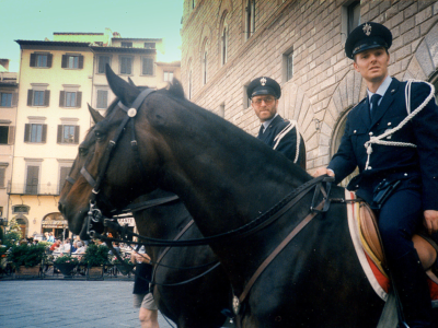 Diritto Militare e di Polizia